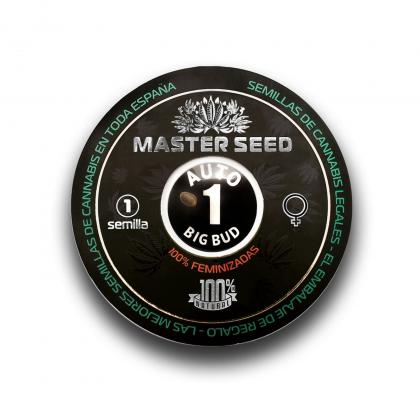 Big Bud autofem (Master-Seed)