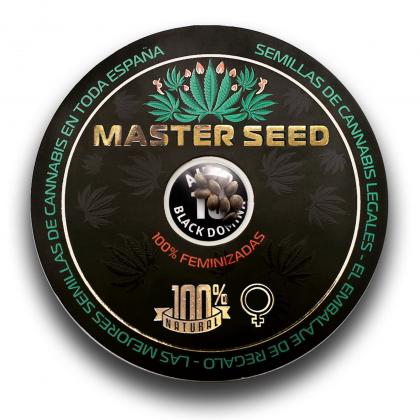 Black Domina autofem (Master-Seed)