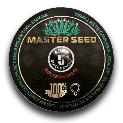 Black Domina autofem (Master-Seed)