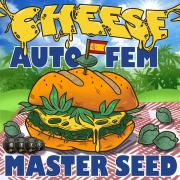 Cheese autofem (Master-Seed)