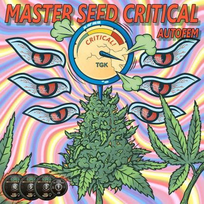 Critical autofem (Master-Seed)