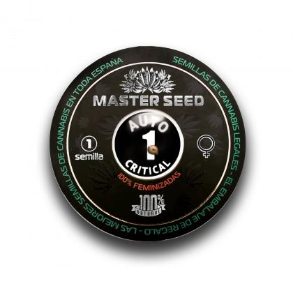 Critical autofem (Master-Seed)