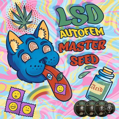 LSD autofem (Master-Seed)