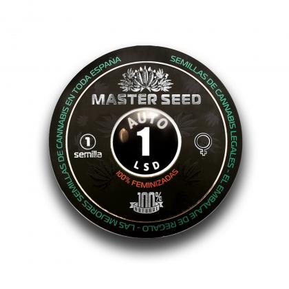 LSD autofem (Master-Seed)