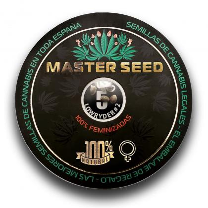 Lowryder#2 autofem (Master-Seed)