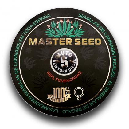 New York Diesel autofem (Master-Seed)