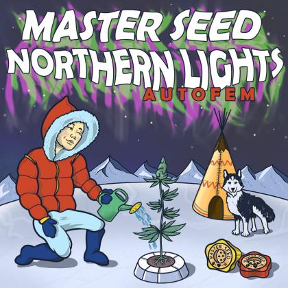 Northern Lights autofem (Master-Seed)