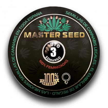 Somango autofem (Master-Seed)