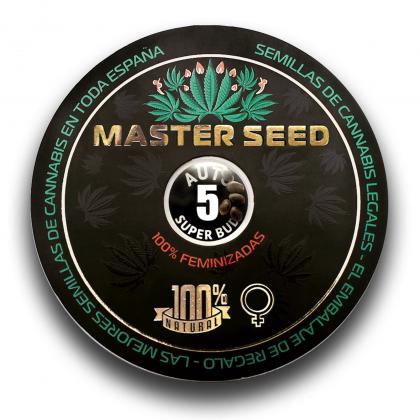 Super Bud autofem (Master-Seed)