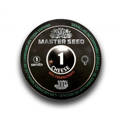 Cheese fem (Master-Seed)