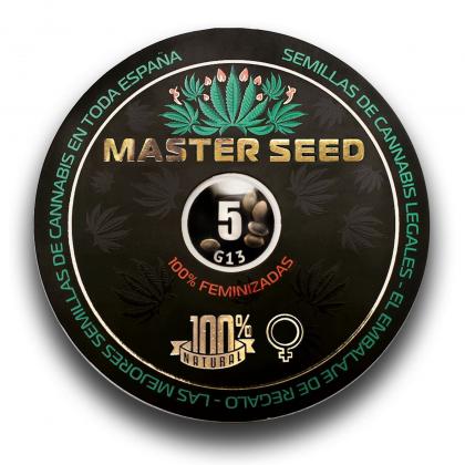 G13 fem (Master-Seed)