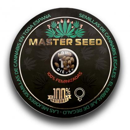 Sour Diesel fem (Master-Seed)